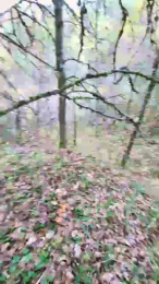 Legtiste webcam cam4 model stream image