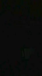 JayWorld504 webcam model stream image