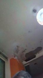 Diegoasc777 webcam model stream image