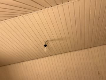 uwunikaa webcam model stream image