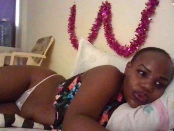 NewBird webcam model stream image