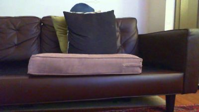 zammo76 webcam model stream image