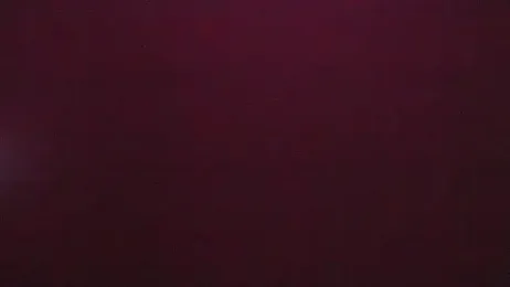 Zoeth_Ruiz webcam model stream image