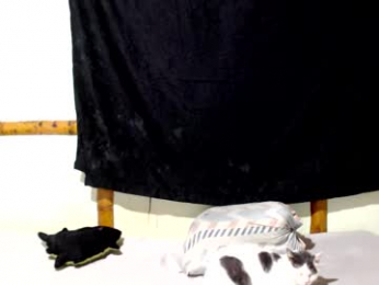 miahells webcam model stream image