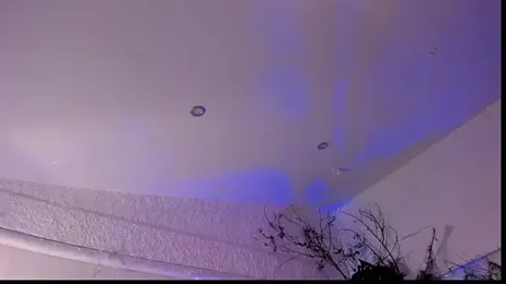 catleya_noire webcam model stream image