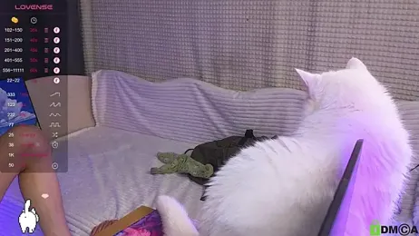 bd_black webcam model stream image