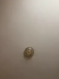 Xannxx webcam model stream image