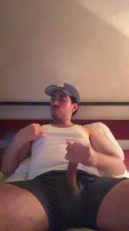 alfrevergonPV webcam model stream image