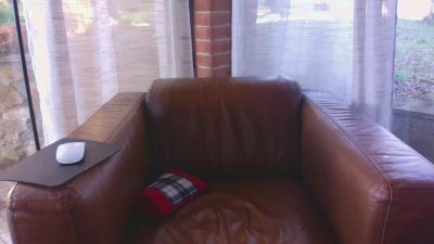 kalleblom webcam model stream image