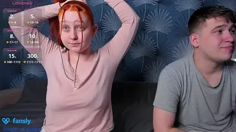 кадр стрима couple_of_kittens_