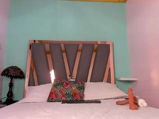 lemmonns webcam model stream image