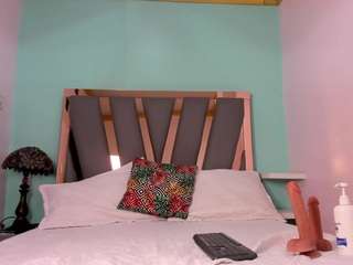 lemmonns webcam model stream image