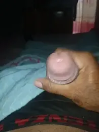 taylorWiiz webcam model stream image