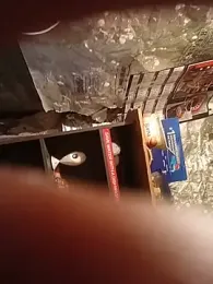 Превью Hotdick2