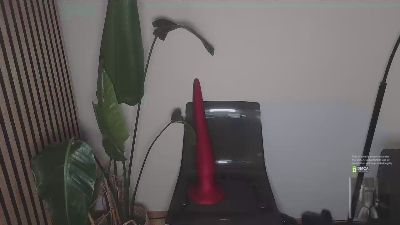 XXXLucasBrown webcam model stream image