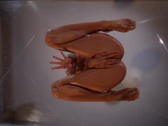 heybanan webcam model stream image