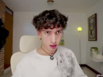 boream_ webcam model stream image