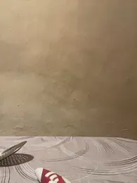 Romsticks webcam model stream image