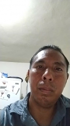 francisconav webcam model stream image