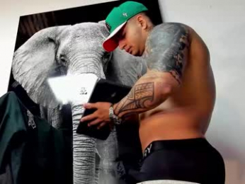 king_falconer webcam model stream image