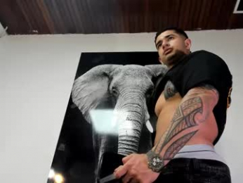 king_falconer webcam model stream image