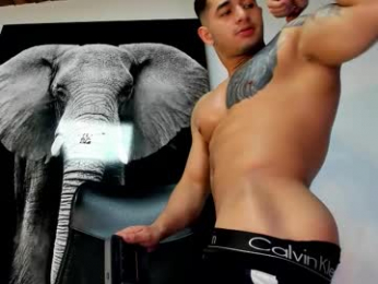 king_falconer webcam model stream image