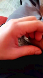 masterxxxgay webcam model stream image