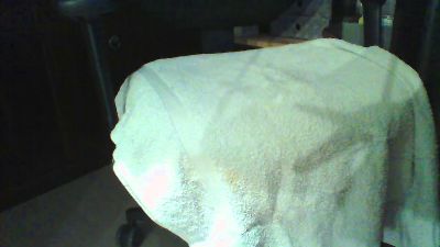 gary1 webcam cam4 model stream image