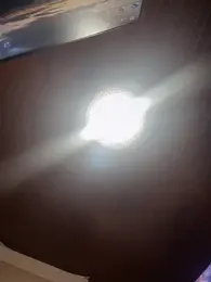 Sofia_Collins- webcam model stream image