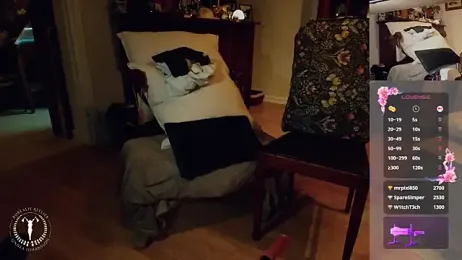 Borealisatelier webcam stripchat model stream image