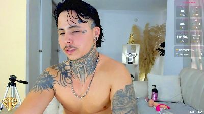 Stefantransman webcam model stream image