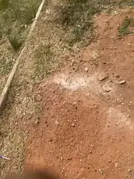 Black_mamba_madingo webcam model stream image