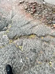 outdoors11 webcam model stream image