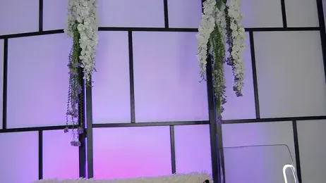 Xenomy webcam stripchat model stream image