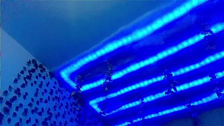 Andy_gray webcam stripchat model stream image