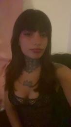 Kendaal webcam model stream image