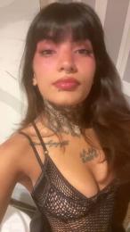 Kendaal webcam model stream image