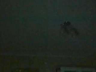 pamdirtyplay webcam model stream image