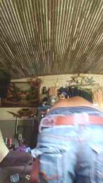 Perfectwatch webcam model stream image