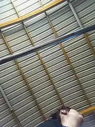 nicol_furyy webcam stripchat model stream image
