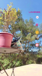 val024 webcam model stream image