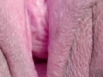 orchidekitty webcam chaturbate model stream image