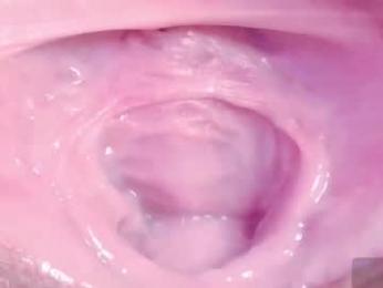 orchidekitty webcam model stream image