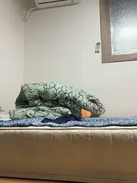 Alexkimsumin webcam model stream image