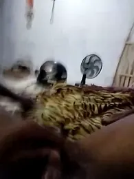 sertaonegro webcam model stream image