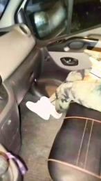 ClaudiaMurcia webcam cam4 model stream image