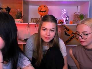 sendi-cais webcam model stream image