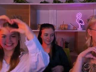 sendi-cais webcam model stream image