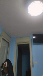 dannidanniel webcam model stream image