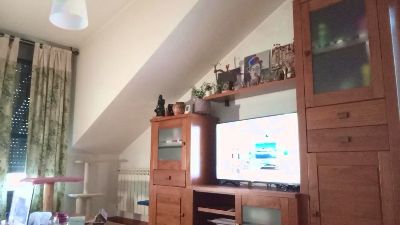 roberdefor webcam model stream image